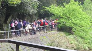六年級後慈湖生態之旅101.3.9，開新視窗